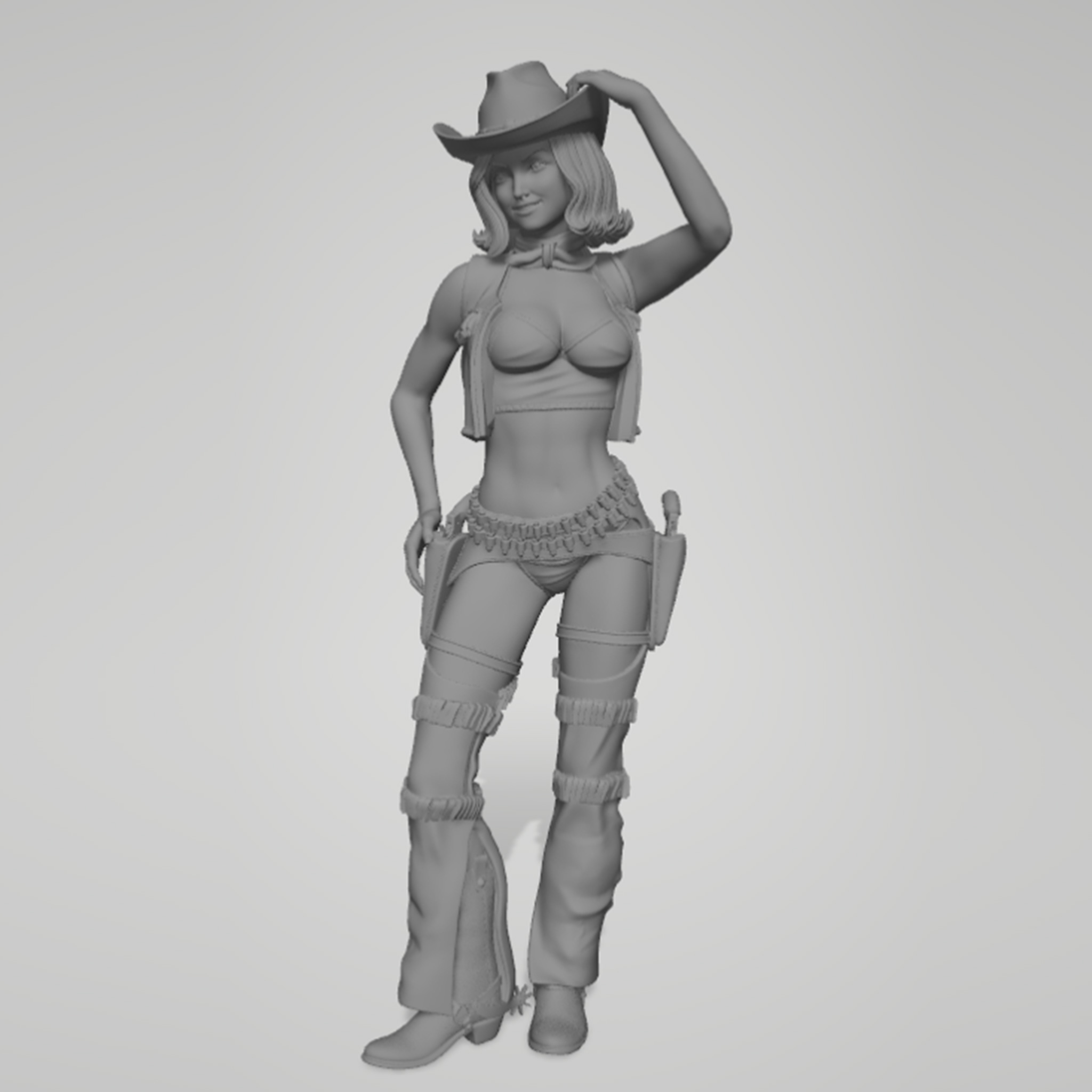 1/24 1/18 1/12 gadis koboi Mod - Resin Printer ulasan dan harga